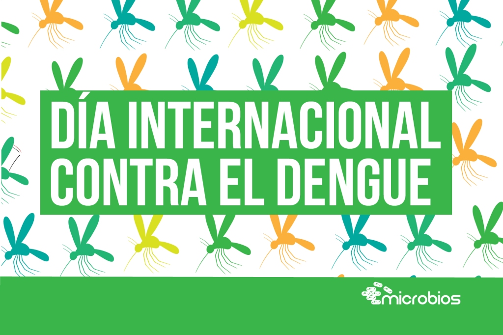 Día Internacional Contra en el Dengue